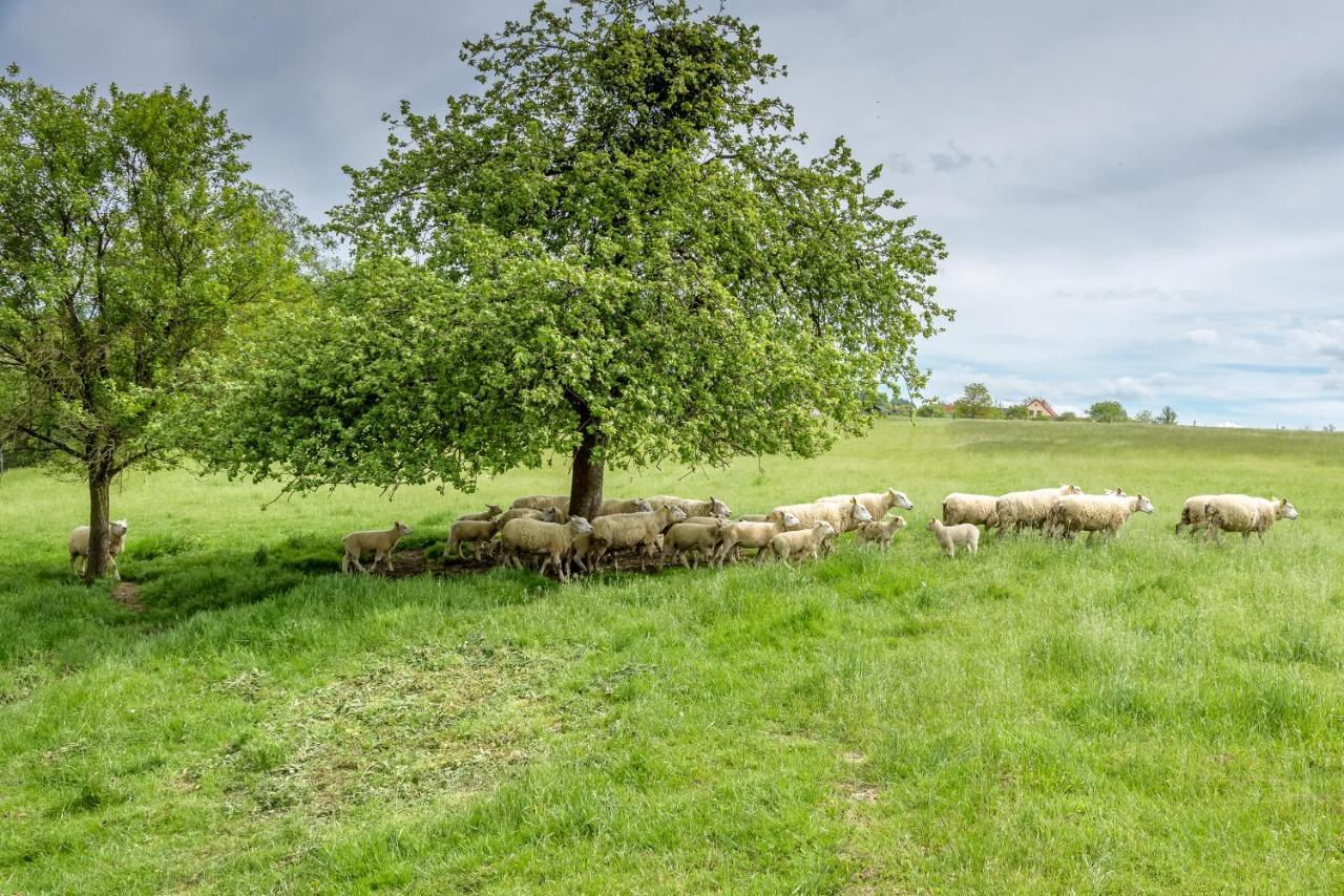 Horní Těrlicko Agroturistika - "Domecek U Ovecek"ヴィラ エクステリア 写真