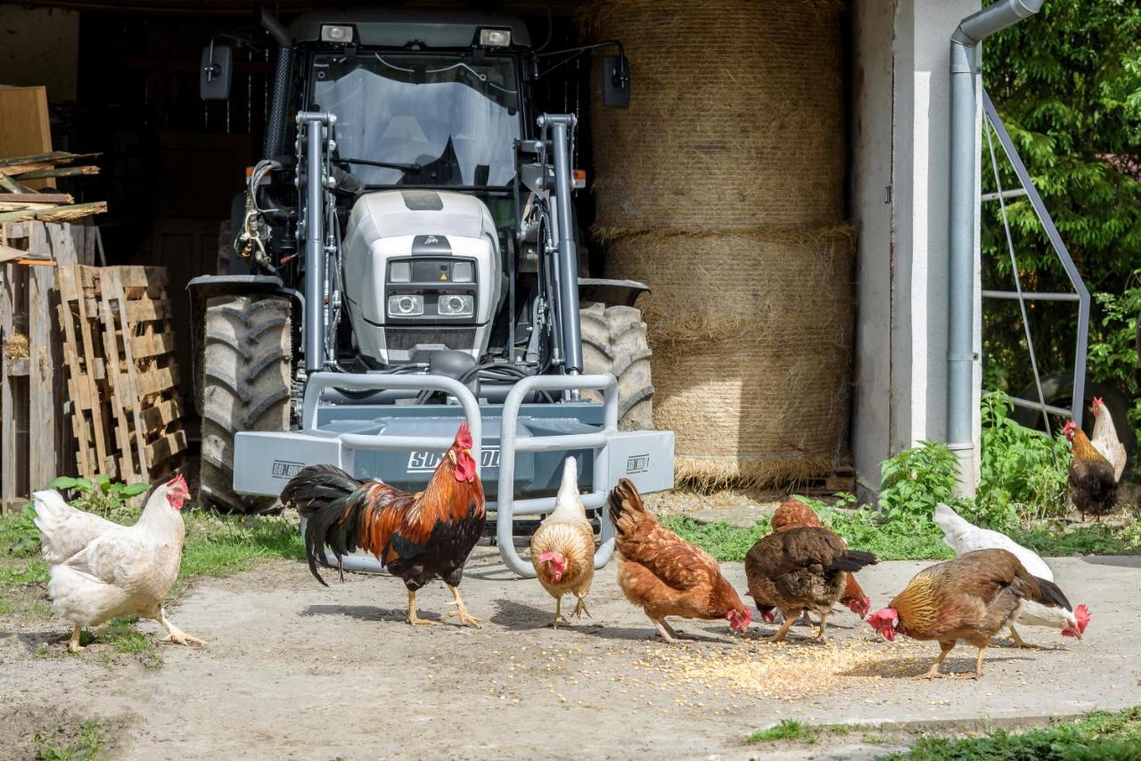 Horní Těrlicko Agroturistika - "Domecek U Ovecek"ヴィラ エクステリア 写真