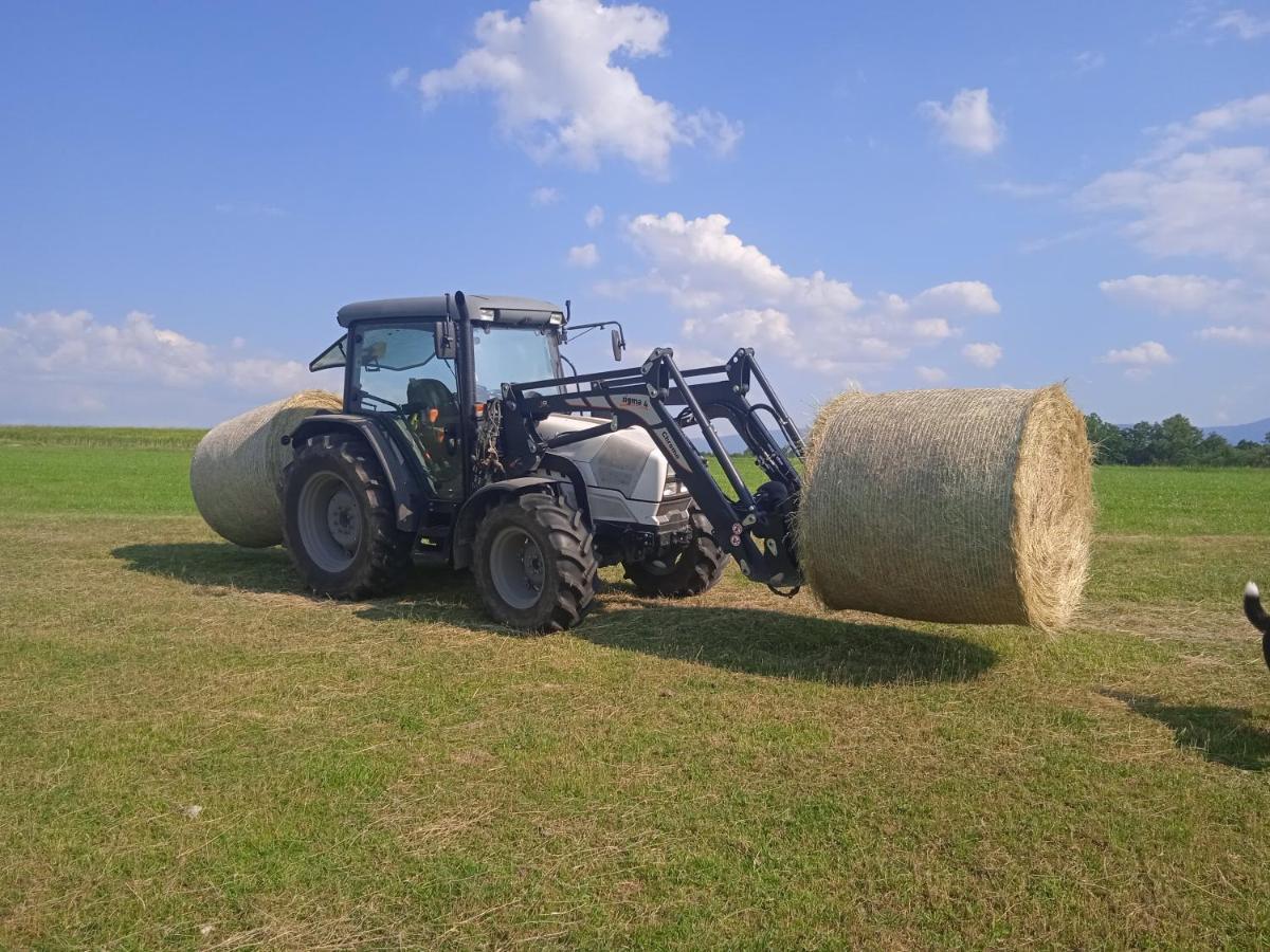 Horní Těrlicko Agroturistika - "Domecek U Ovecek"ヴィラ エクステリア 写真